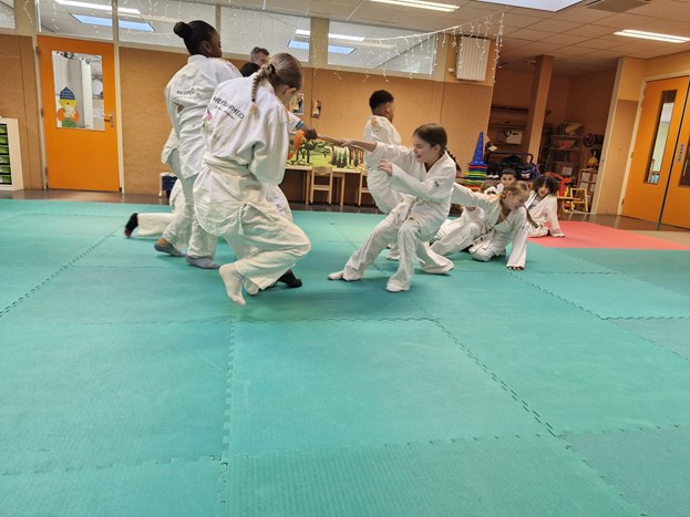 judo 3